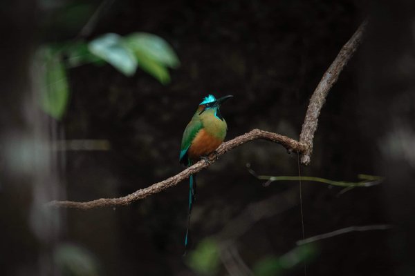 Can Hydrotherapy Treatments Alleviate Symptoms of Peripheral Neuropathy?